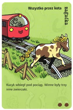 Galeria - zdjęcie nr. 3 - Gra Kucykowe historie