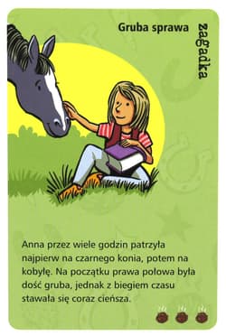 Galeria - zdjęcie nr. 4 - Gra Kucykowe historie