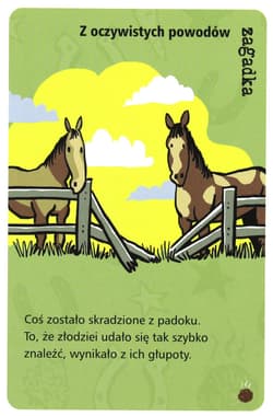 Galeria - zdjęcie nr. 3 - Gra Kucykowe historie