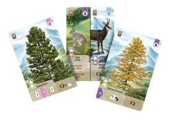 Galeria - zdjęcie nr. 2 - Gra Leśne rozdanie Alpy