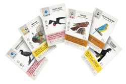 Galeria - zdjęcie nr. 3 - Gra Na skrzydłach Ptaki Ameryk