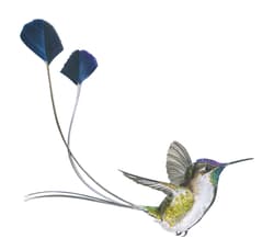 Galeria - zdjęcie nr. 4 - Gra Na skrzydłach Ptaki Ameryk