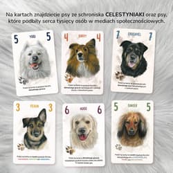 Galeria - zdjęcie nr. 5 - Gra Nasze Psiaki
