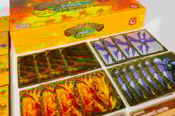 Galeria - zdjęcie nr. 2 - Gra Spirit Island Pióra i Płomienie dodatek