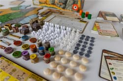 Galeria - zdjęcie nr. 2 - Gra Spirit Island Rozdarta Ziemia dodatek