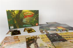 Galeria - zdjęcie nr. 5 - Gra Spirit Island Zarośla i Szpony dodatek