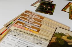 Galeria - zdjęcie nr. 3 - Gra Spirit Island Zarośla i Szpony dodatek