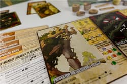 Galeria - zdjęcie nr. 2 - Gra Spirit Island Zarośla i Szpony dodatek