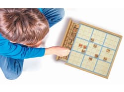 Galeria - zdjęcie nr. 2 - Gra Sudoku drewniane Lexibook JGW150