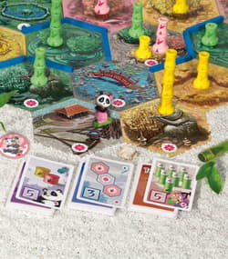 Galeria - zdjęcie nr. 4 - Gra Takenoko Chibis ECO dodatek