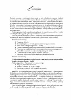 Galeria - zdjęcie nr. 3 - Grafomozaiki Twórcze zabawy grafomotoryczne doskonalące funkcje percepcyjno-motoryczne