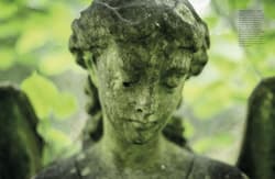Galeria - zdjęcie nr. 3 - Graveyards wer. angielska