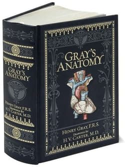 Gray's Anatomy: Barnes & Noble
