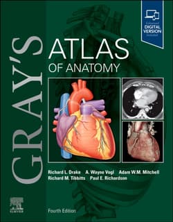 Gray's Atlas of Anatomy - Opracowanie Zbiorowe