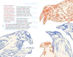 Galeria - zdjęcie nr. 3 - Great Wielka Brytania dla dociekliwych