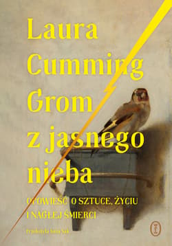Grom z jasnego nieba - ebook