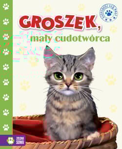 Groszek mały cudotwórca - Kwietniewska-Talarczyk Marzena
