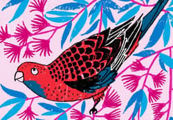 Galeria - zdjęcie nr. 4 - Grumpy Cats and Other Stuff