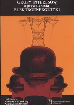 Grupy interesów a prywatyzacja elektroenergetyki