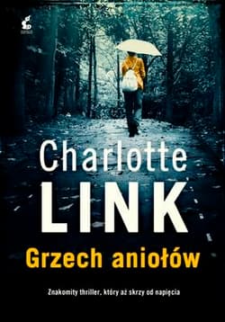 Grzech aniołów - Charlotte Link