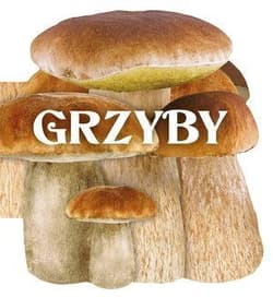 Grzyby - Praca zbiorowa