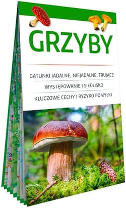 Grzyby. Poręczny, laminowany miniprzewodnik - Kamiński Wiesław