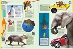 Galeria - zdjęcie nr. 2 - Guinness World Records 2026