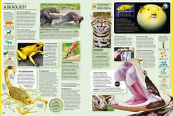 Galeria - zdjęcie nr. 4 - Guinness World Records 2026