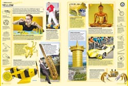 Galeria - zdjęcie nr. 2 - Guinness World Records 2026