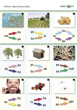 Galeria - zdjęcie nr. 5 - Gumowe ucho ćwiczenia percepcji słuchowej dla dzieci w młodszym wieku szkolnym