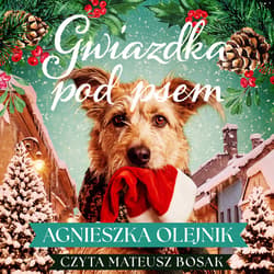 Gwiazdka pod psem - audiobook - Agnieszka Olejnik