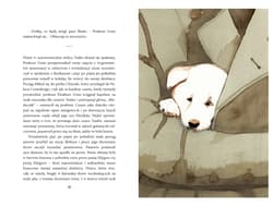 Galeria - zdjęcie nr. 2 - Hachiko. O psie, który czekał