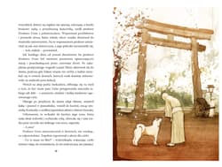 Galeria - zdjęcie nr. 4 - Hachiko. O psie, który czekał