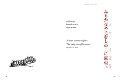 Galeria - zdjęcie nr. 5 - Haiku wer. angielska