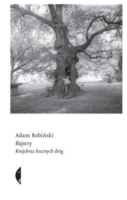 Hajstry. Krajobraz bocznych dróg - Adam Robiński