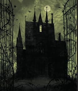 Galeria - zdjęcie nr. 4 - Harry Potter i Czara Ognia - wydanie ilustrowane