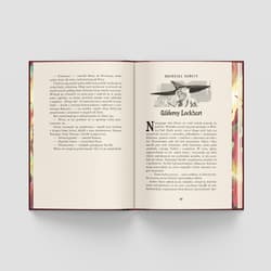 Galeria - zdjęcie nr. 3 - Harry Potter i Komnata Tajemnic (ilustrowane brzegi) wer. limitowana
