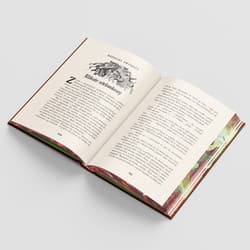 Galeria - zdjęcie nr. 4 - Harry Potter i Komnata Tajemnic. Polska okładka z barwionymi brzegami