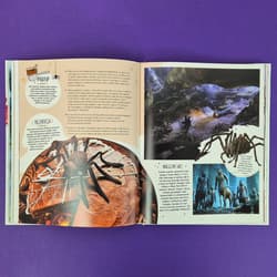 Galeria - zdjęcie nr. 2 - Harry Potter. Oficjalna księga magicznych wypieków