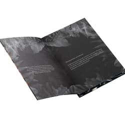 Galeria - zdjęcie nr. 3 - Heartless. Consigliere. Tom 1 (ilustrowane brzegi)