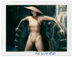 Galeria - zdjęcie nr. 3 - Helmut Newton. Polaroids wer. angielska