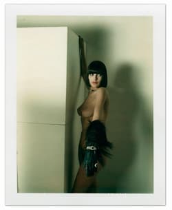 Galeria - zdjęcie nr. 4 - Helmut Newton. Polaroids wer. angielska