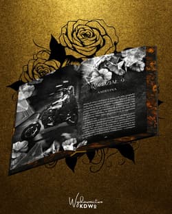 Galeria - zdjęcie nr. 3 - Hidden Truths (ilustrowane brzegi)