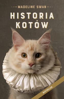 Historia kotów [wydanie 2021] - ebook - Madeline Swan