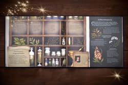 Galeria - zdjęcie nr. 2 - Historia naturalna magii