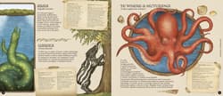 Galeria - zdjęcie nr. 3 - Historia naturalna stworzeń magicznych