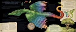 Galeria - zdjęcie nr. 4 - Historia naturalna stworzeń magicznych