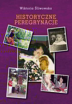 Historyczne peregrynacje Szkice z dziejów Polaków i Rosjan w XIX wieku