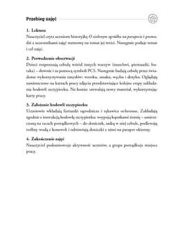 Galeria - zdjęcie nr. 5 - Historyjki na cztery pory roku Scenariusze zajęć z dziećmi z niepełnosprawnością intelektualną w stopniu umiarkowanym i znacznym
