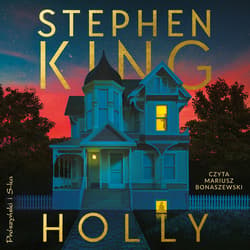 Holly - audiobook - Stephen  King